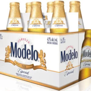 Modelo - 6 BTL