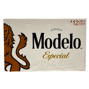 MODELO ESPECIAL 12B